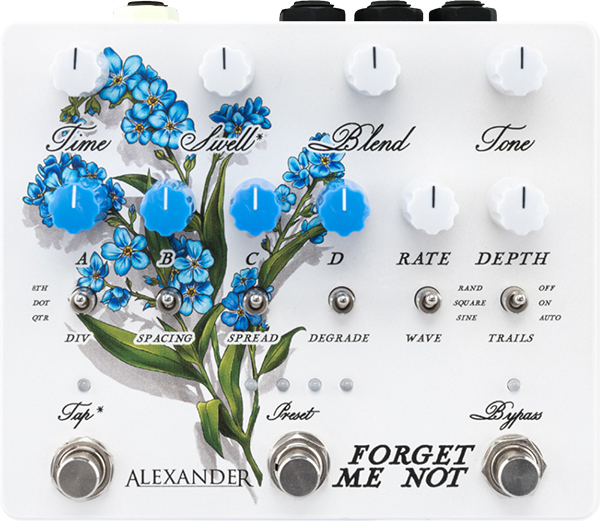 Alexander Forget-Me-Not