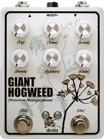 Drolo Giant Hogweed