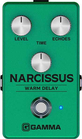 Gamma Narcissus