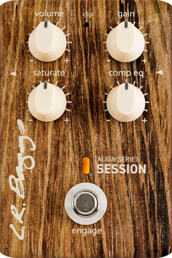 L.R. Baggs Align Series Session