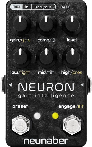 Neunaber Neuron