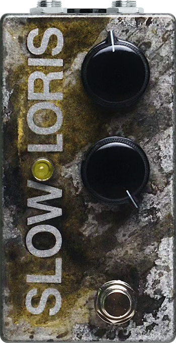 Non-Human Audio Slow Loris