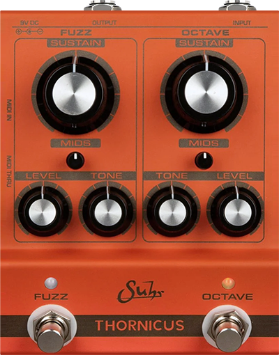 Suhr Thornicus Fuzz
