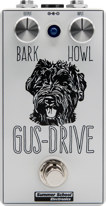 Summer School Electronics Gus-Drive