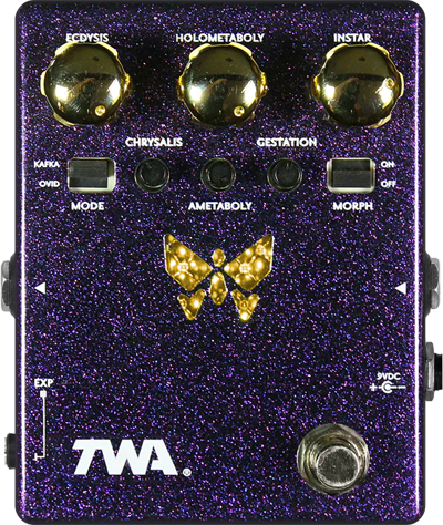 TWA Dynamorph